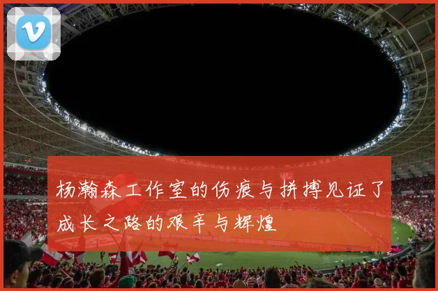 杨瀚森工作室的伤痕与拼搏见证了成长之路的艰辛与辉煌